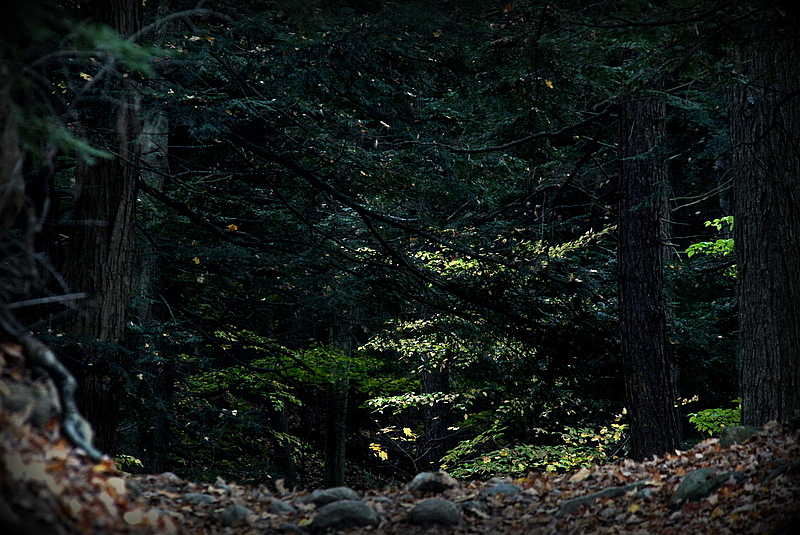 Rouge Park, Toronto, Canada.