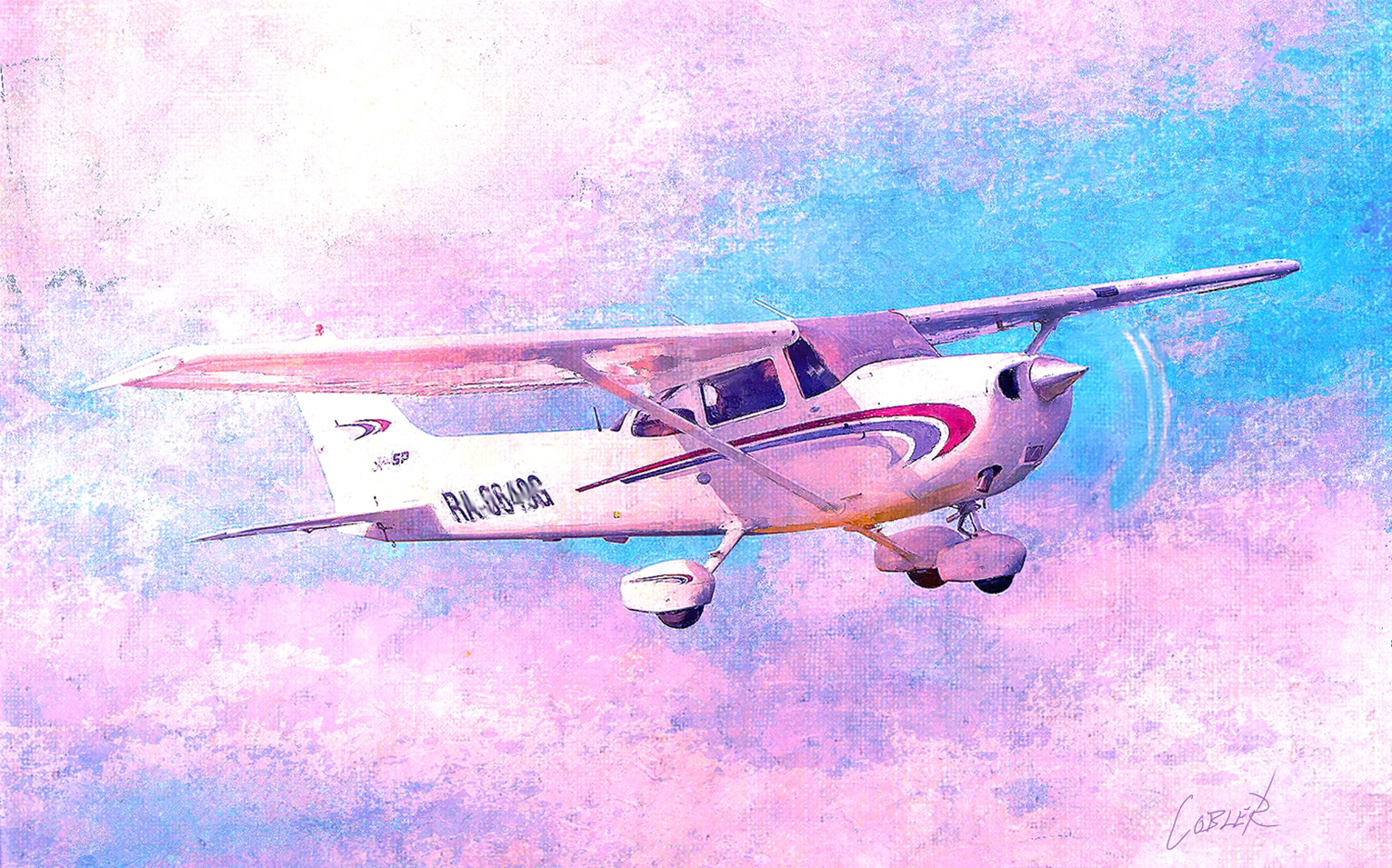 Cessna 172 Skyhawk