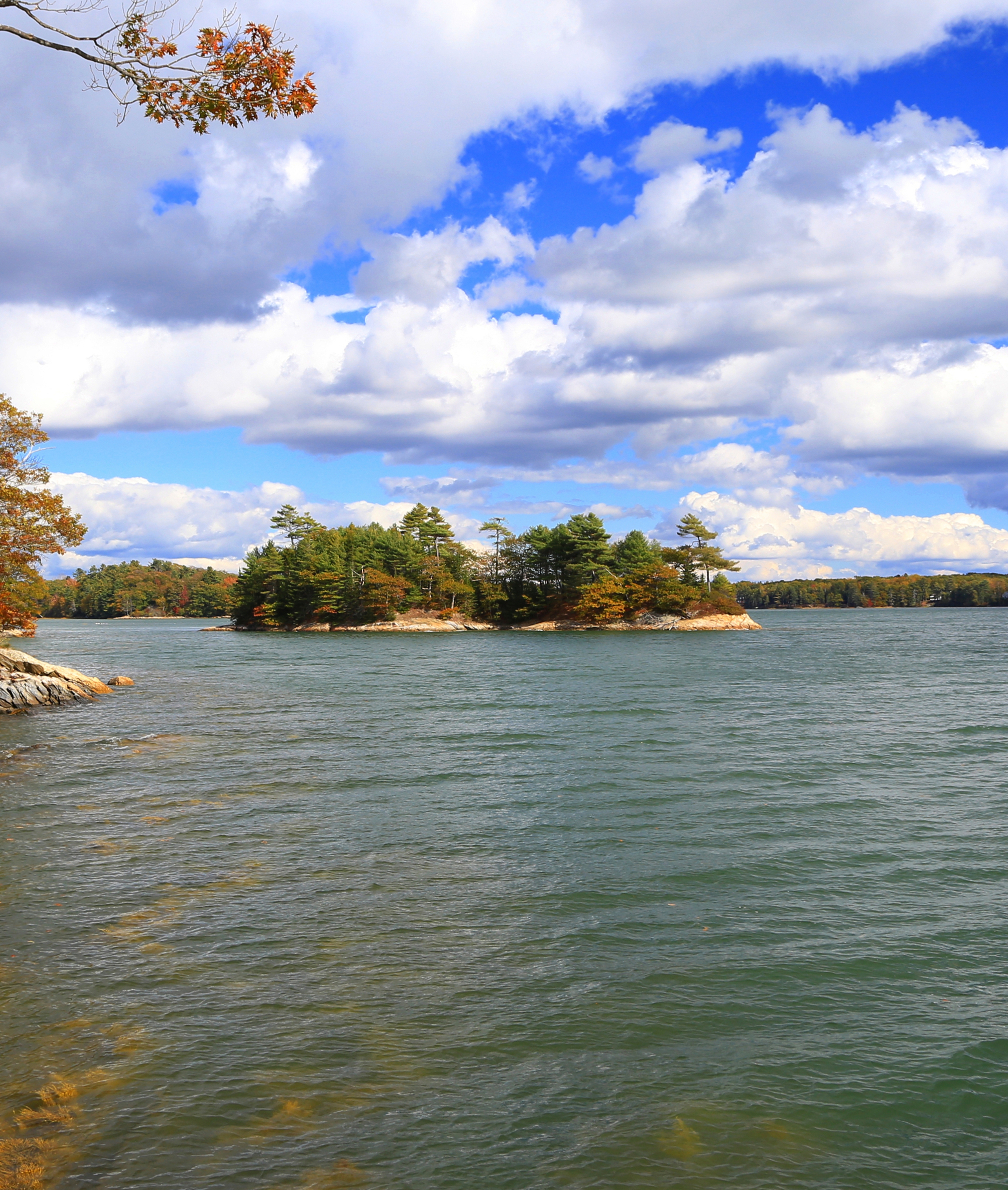 Googins Isle, Wolfe Neck Woods State Park
