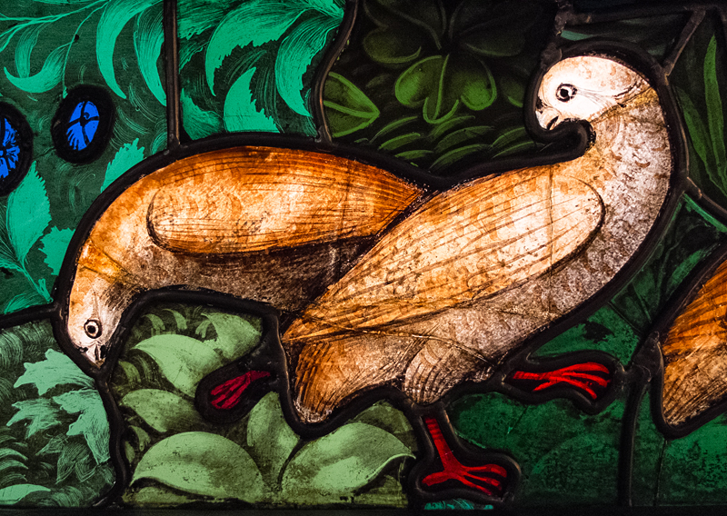 Stained Glass in the Cluny Museum