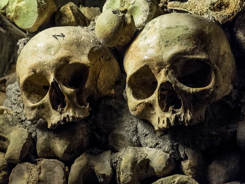 In the Catacombs, Part 1