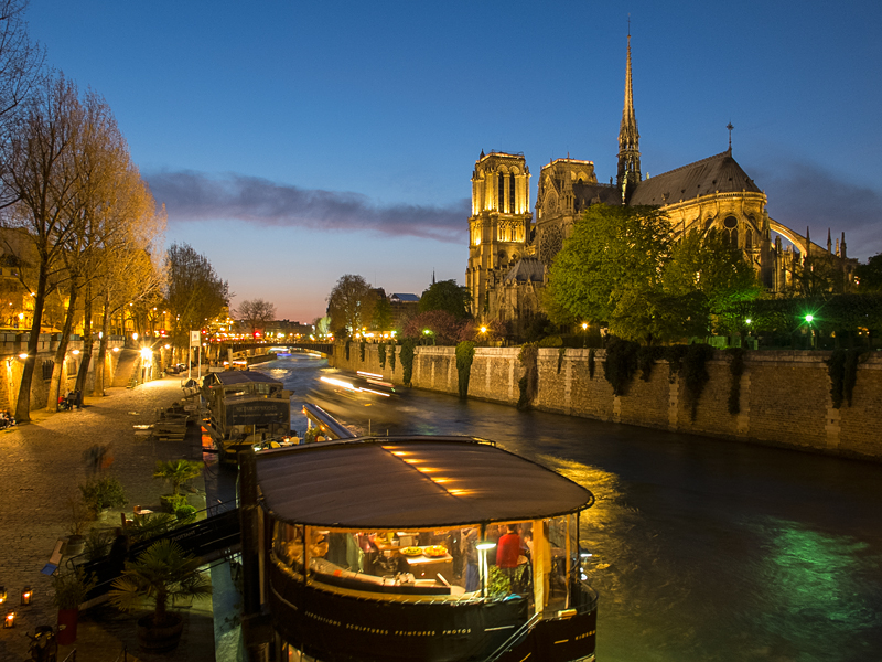 Notre Dame at Night 