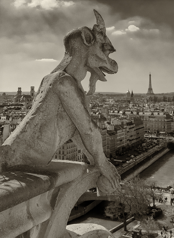 Gargoyle, Notre Dame Cathedral