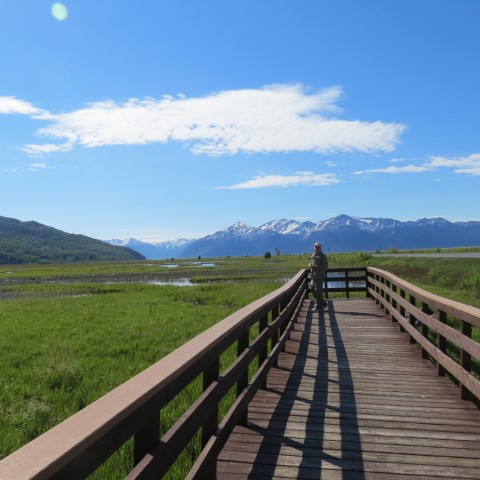 Bob on Potter Marsh Boardwalk