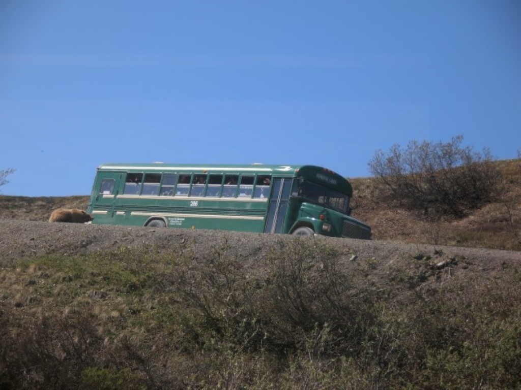 Denali Bus 