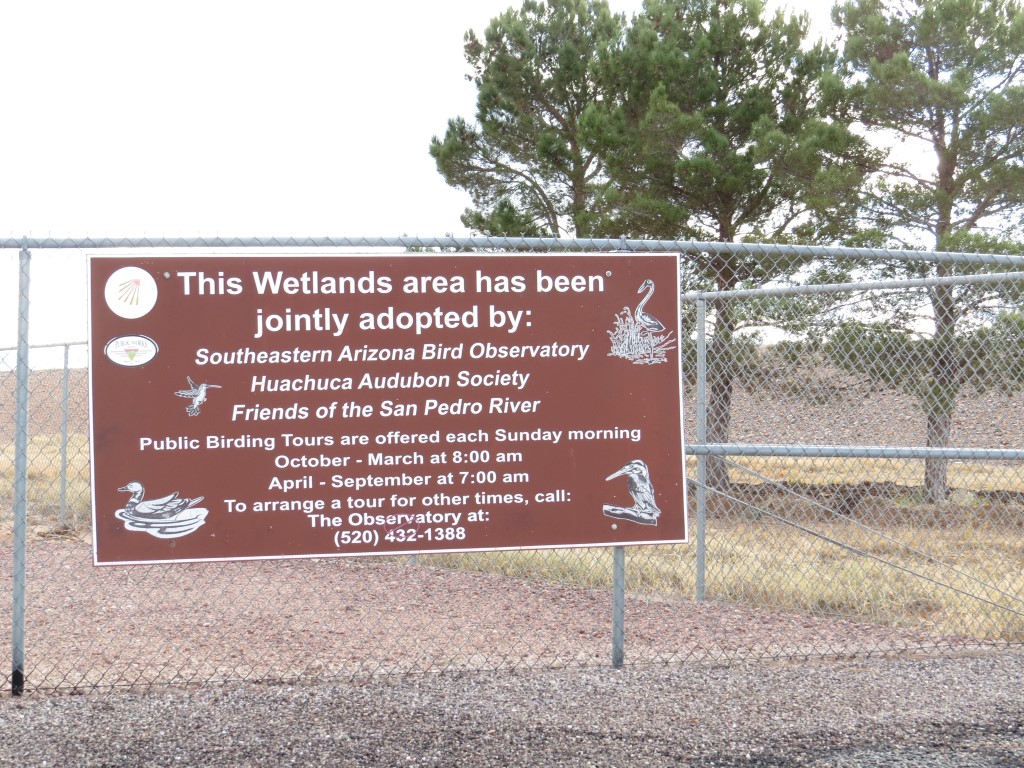 Sierra Vista Wetland - a work in progress