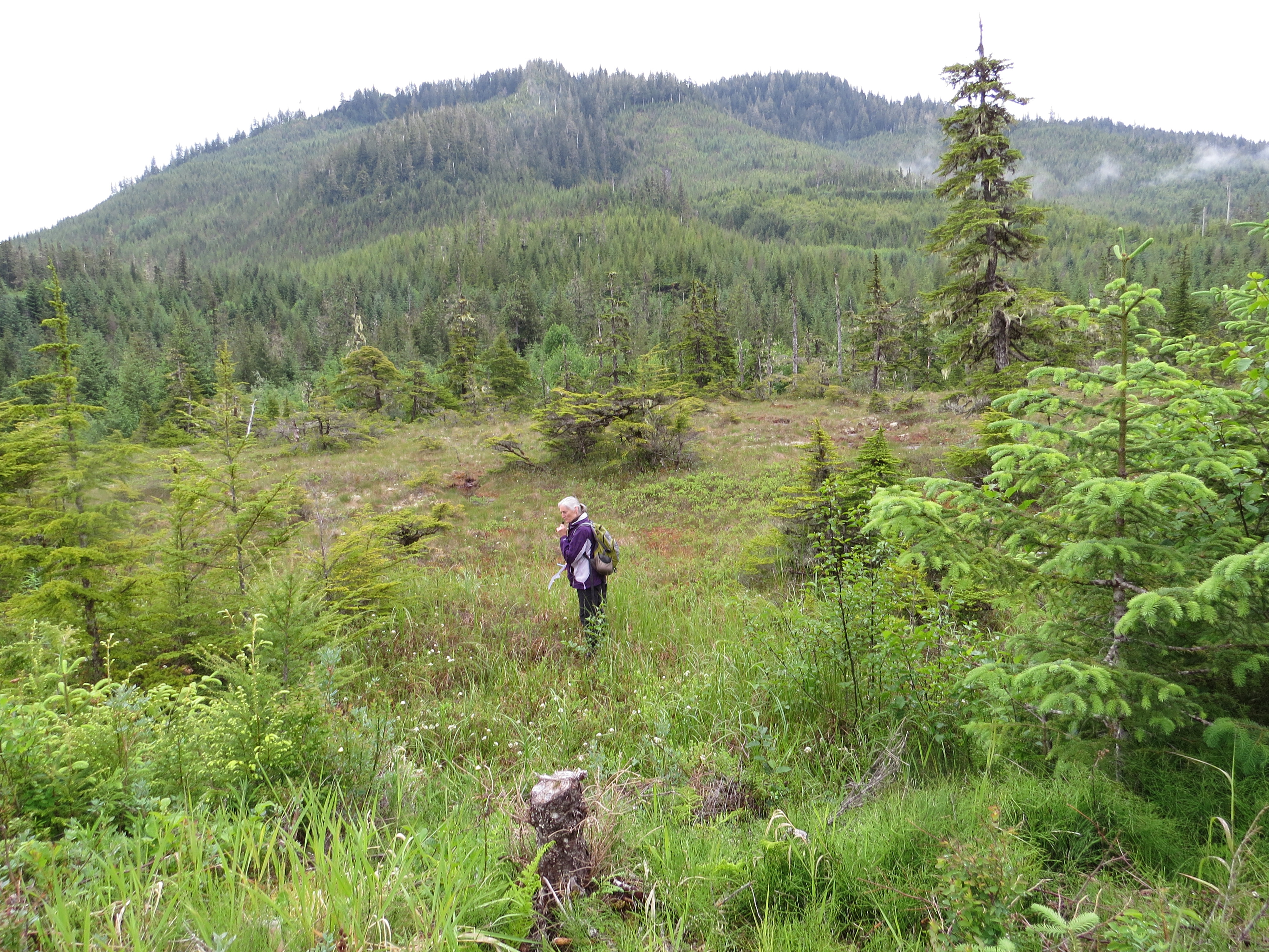 Rebecca explaining Muskeg