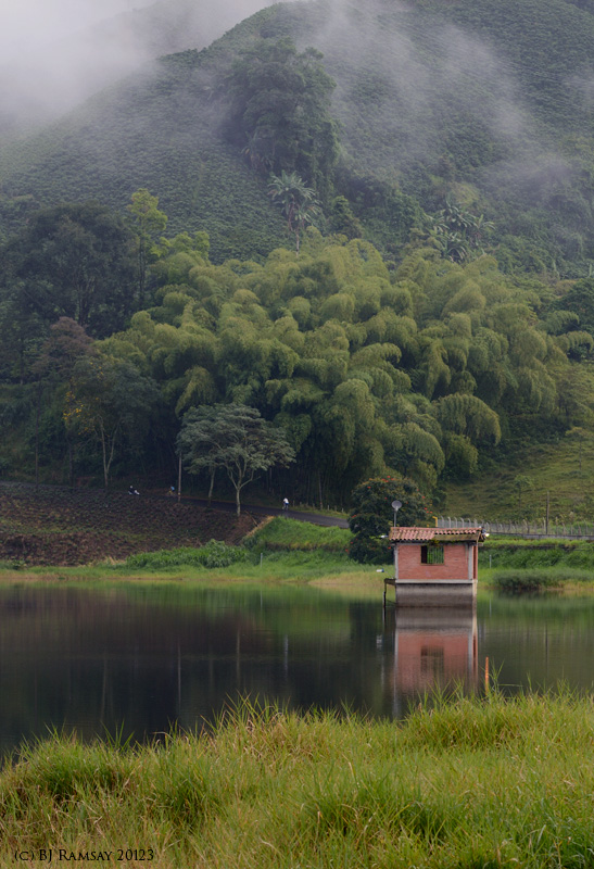 The birding pond Manizales