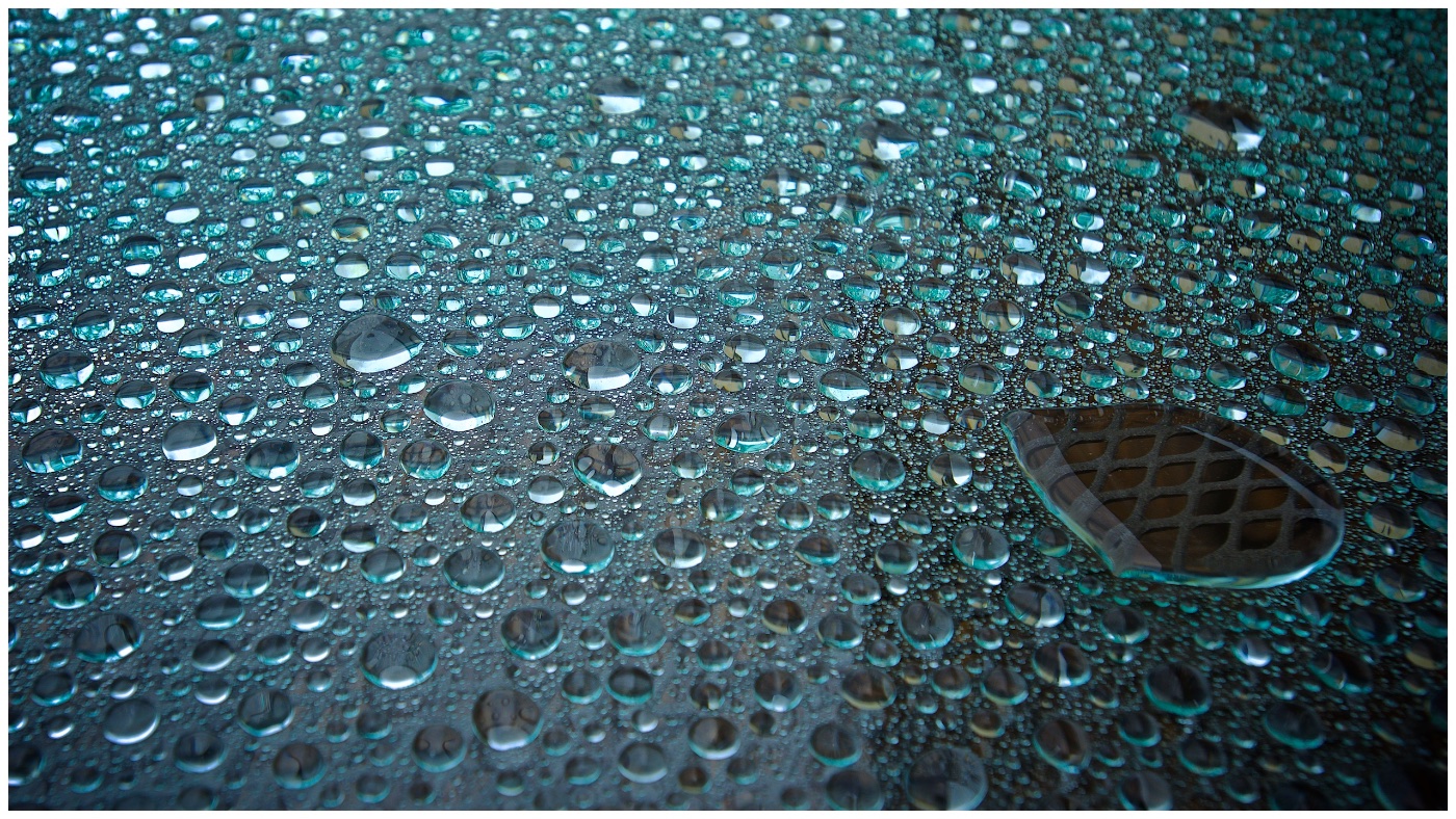 Glass, Water & Surface Tension 