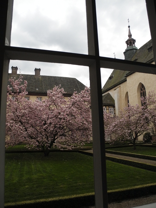 20130426_143639_DSCN0810.jpg
