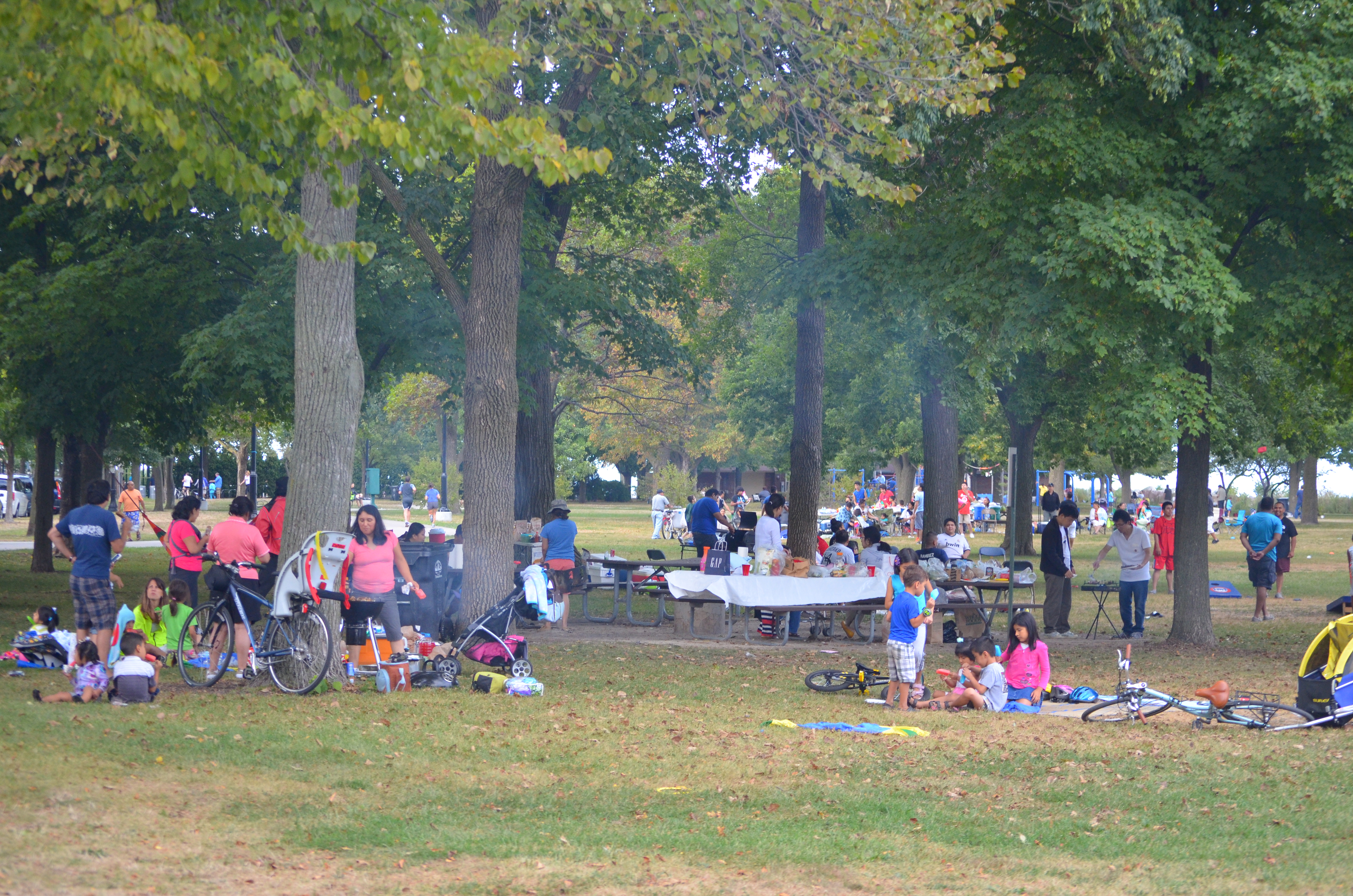 DSC_1900.JPG