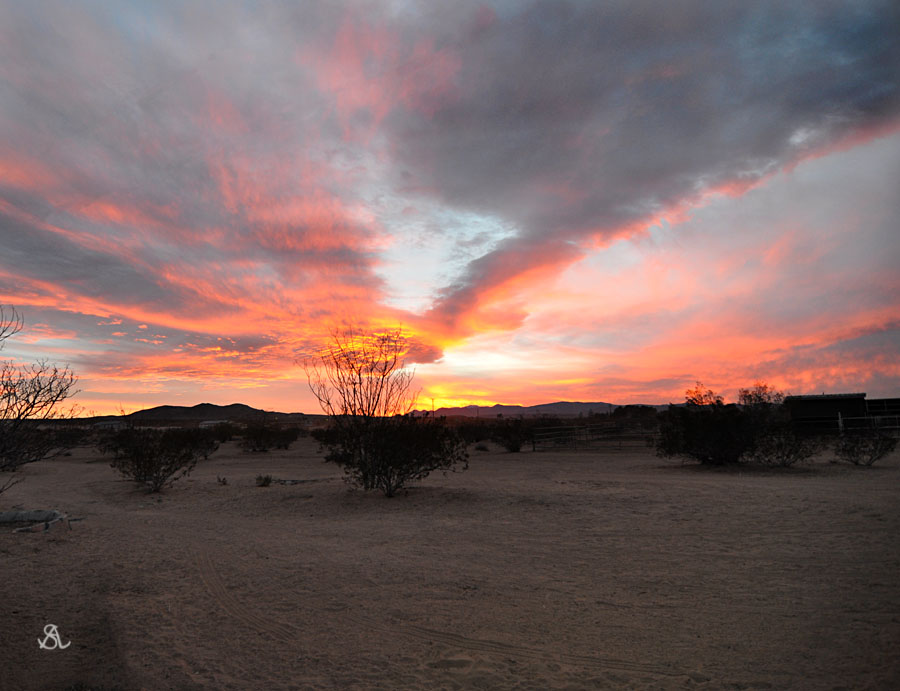 FIREBALL SUNSET