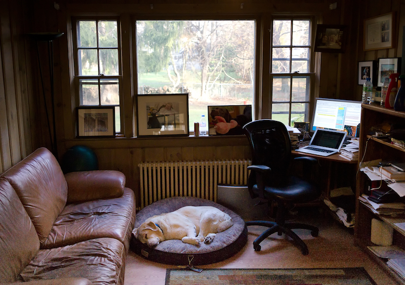 Web The dog room March 9 2012_.jpg