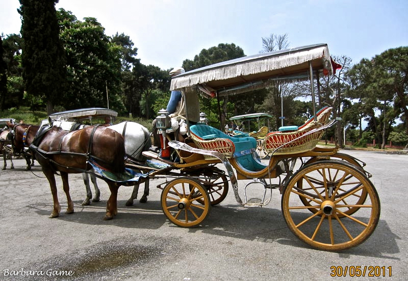 Pony cart on Buyukada Island