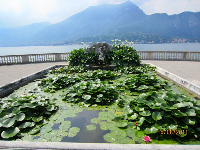 Villa Melzi,  lily pond and lake view