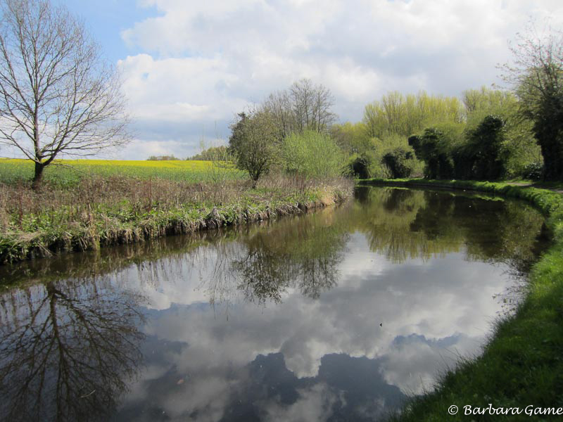 Reflected sky