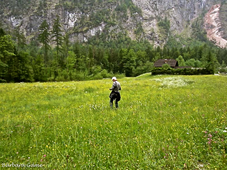 Valley walk - lost in a field of flowers