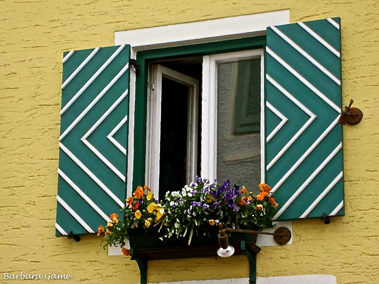Window