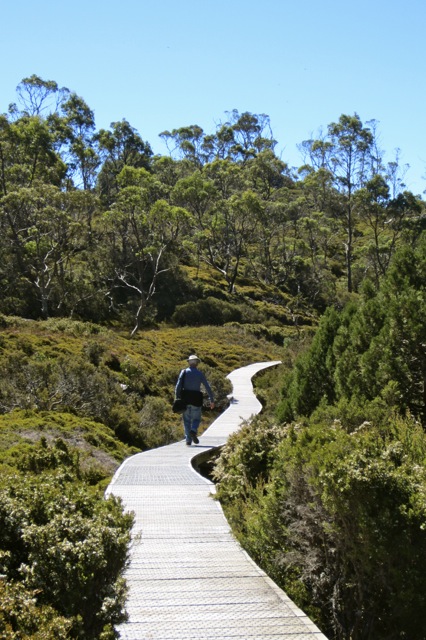 Cradle Mountain board walk, on way to Lake Dove