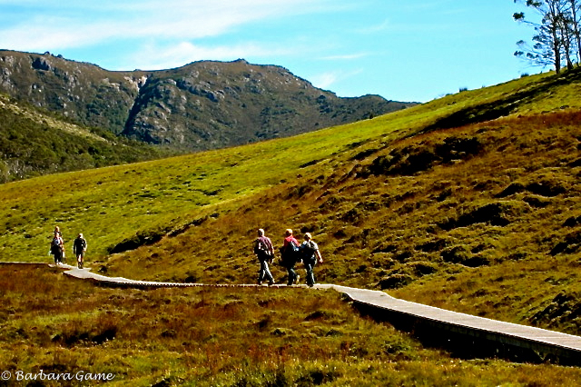 Cradle Mountain board walk