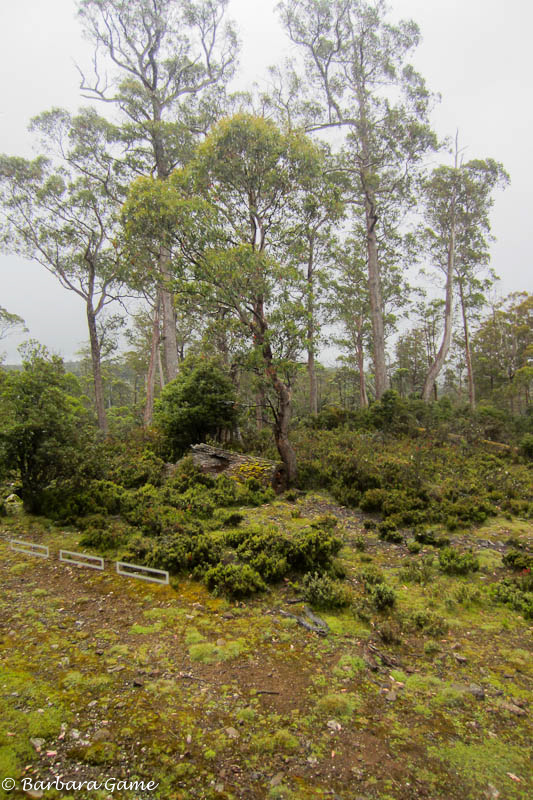 View from our room, Cradle Mountain Chateau