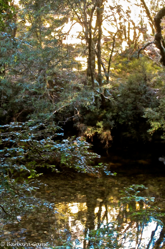 Enchantment Walk, late afternoon