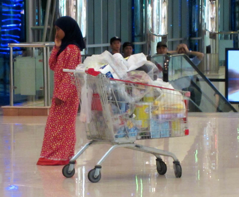 Shopper
