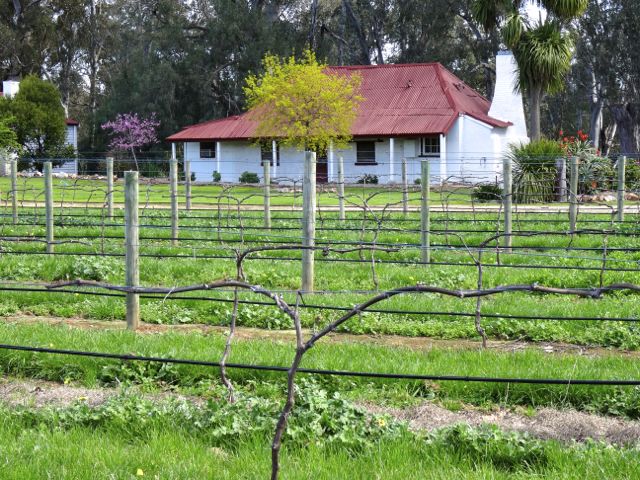 Chateau Tahbilk Estate winery