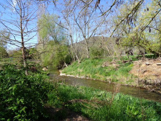 Horse Creek at the bottom of cottage garden