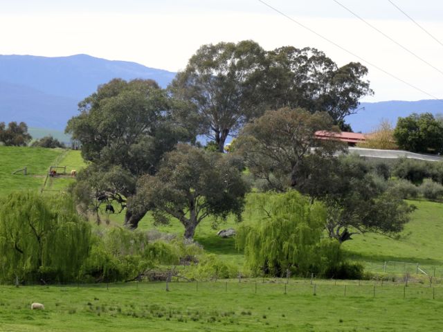 Green country