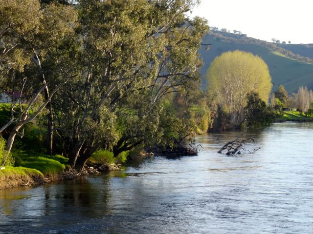 The Murray at Jingellic