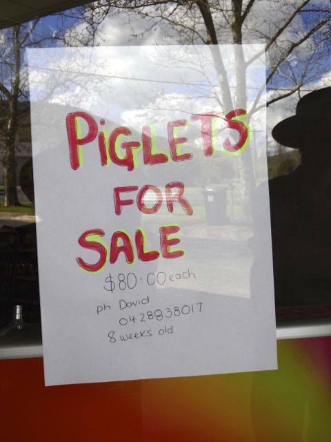 Sign in window of General Store