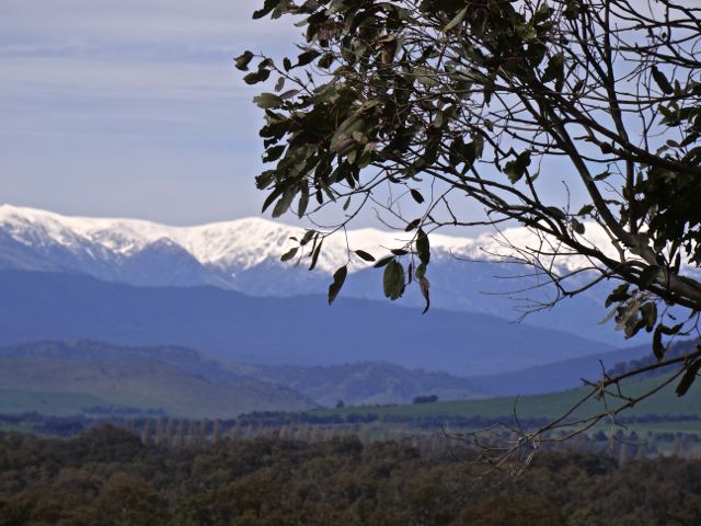 Alpine view