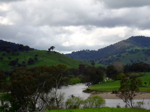 Upper Murray River meanderings