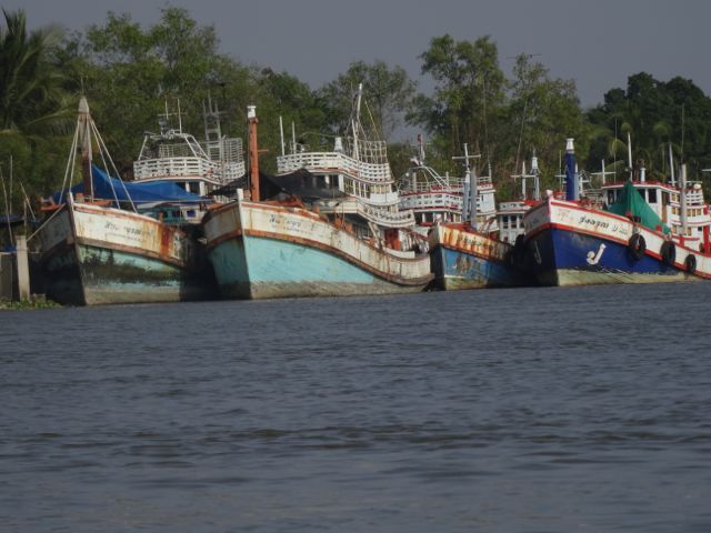 River cruise, Amphawa