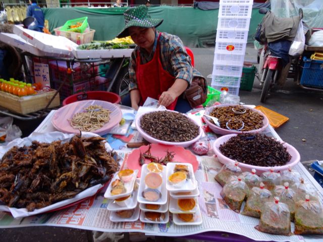 Morning Market, various cooked insects