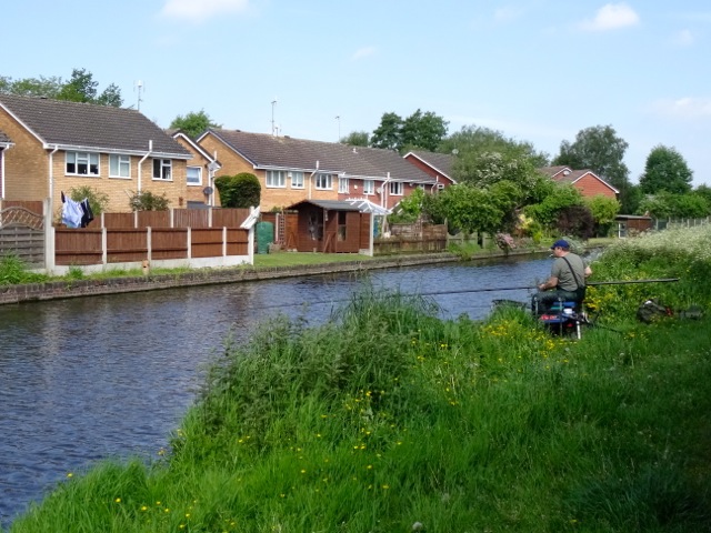 Back gardens and an angler