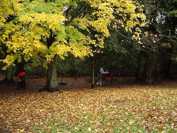 Autumn, 2008