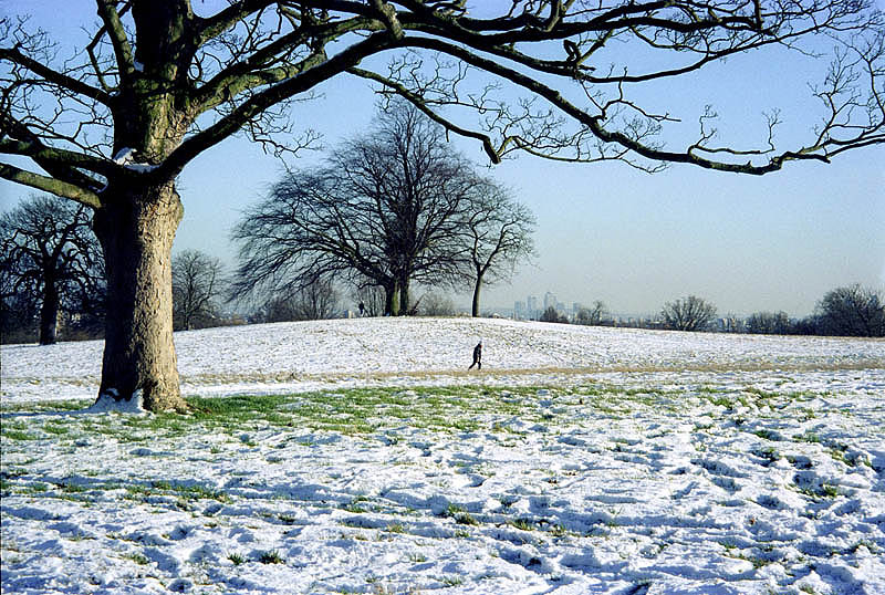 Winter, 2004
