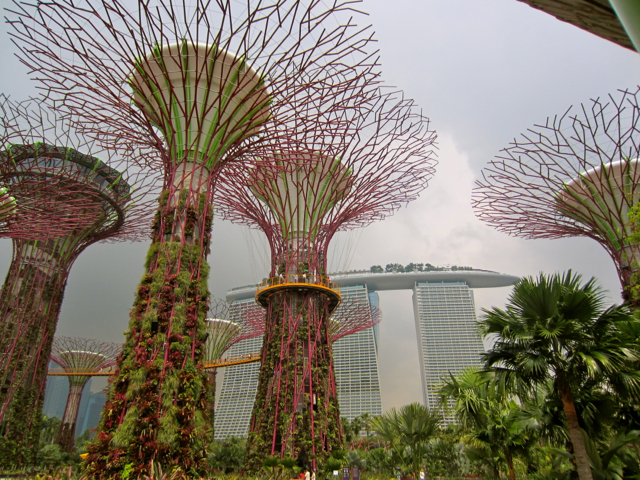Giant, sculptured iron trees, 2013