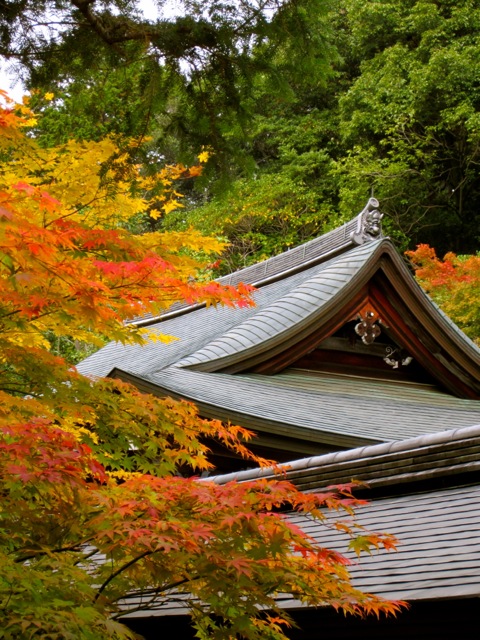 Kyoto Zen Shrine 