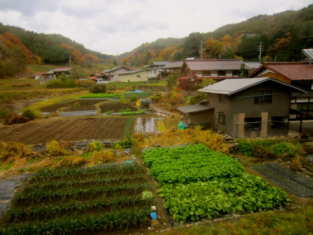 Viewed from train window on return to Kyoto