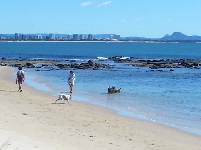 Kawana beach