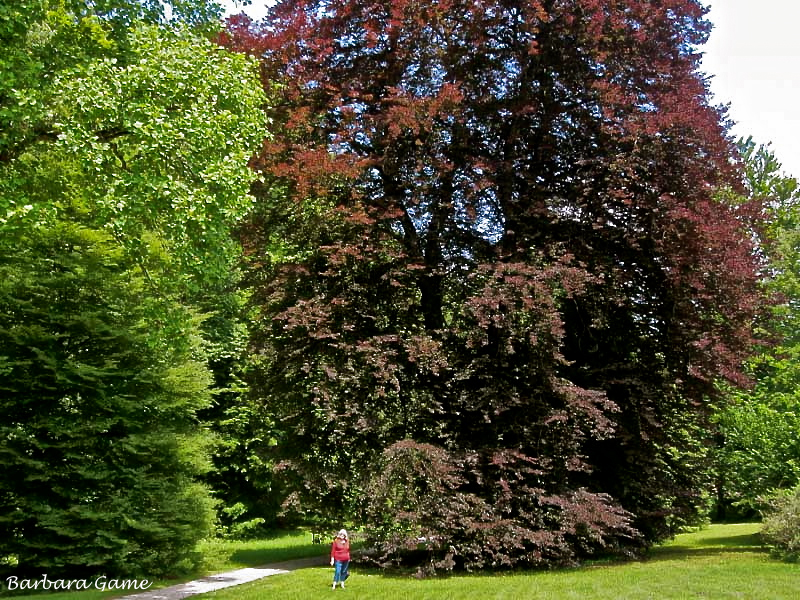 Spa Towns of the Austrian Lakes
