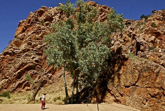 East and West MacDonnell Ranges