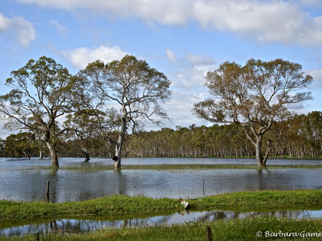 Flooded land in Victoria