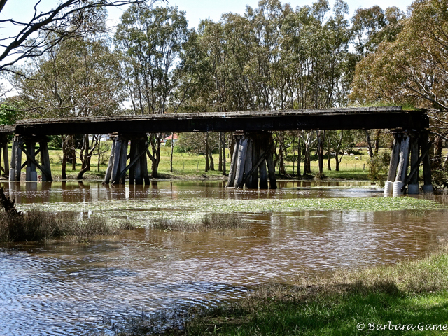 The Wannan River - high water, at Cavendish