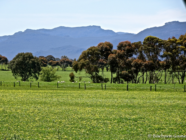 View of the Grampians