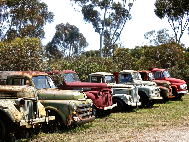 A line up of old relics, Tailem Bend, South Australia 