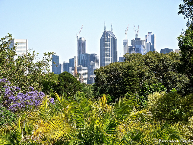 Melbournes Royal Botanical Gardens
